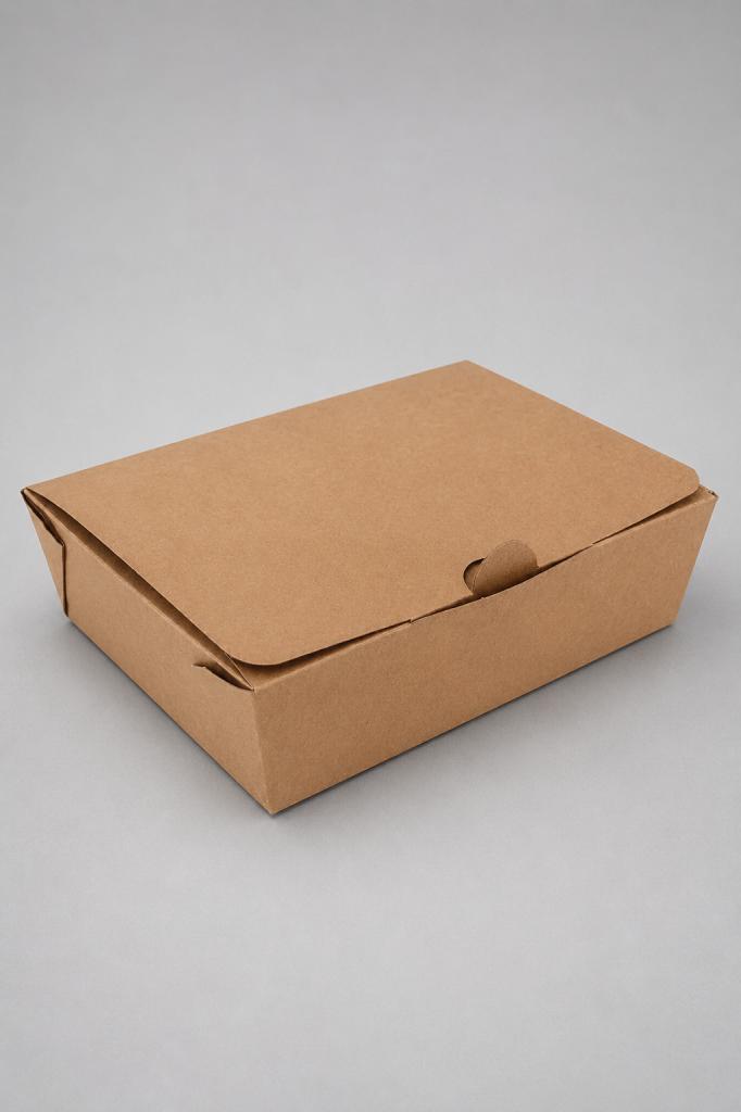 Takeaway Box Medium Takeaway Lunch Box