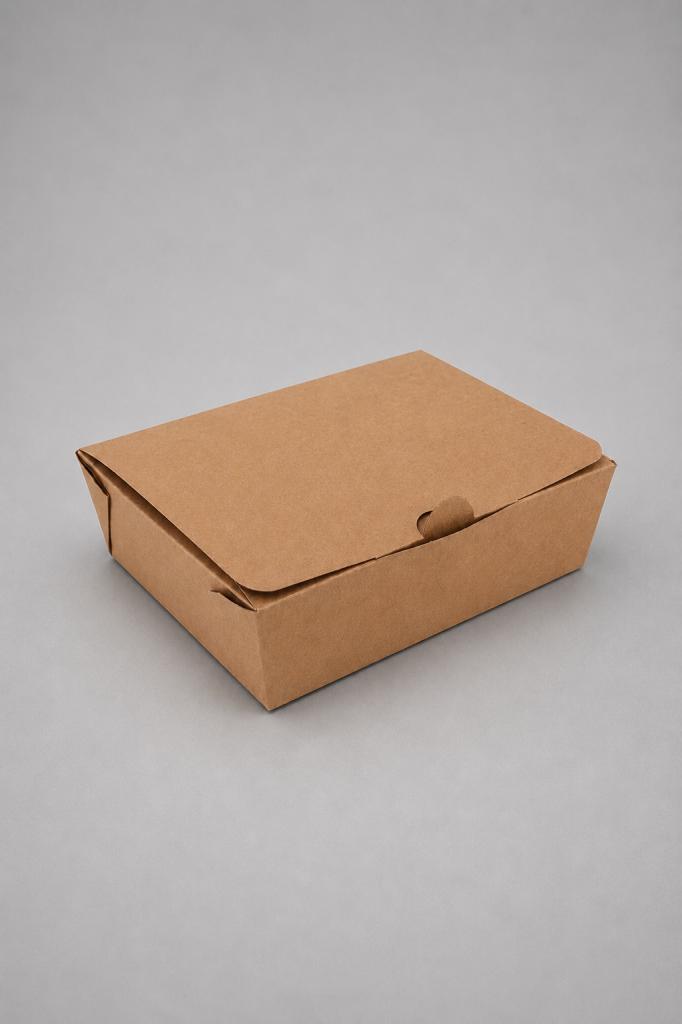 Takeaway Box Small Takeaway Lunch Box